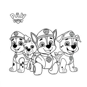 Libro de Colorear: Academia de Cachorros PAW Patrol