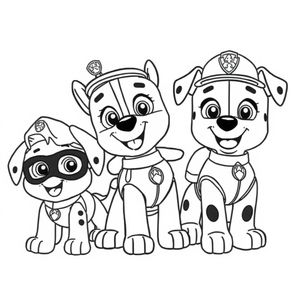 Libro para Colorear de Paw Patrol