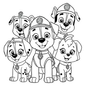 Patrulla Canina: Misiones Coloridas
