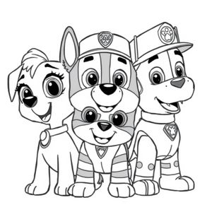 Libro de Colorear Patrulla Canina