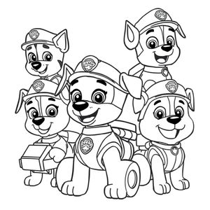 Patrulla Canina: Misiones Coloridas